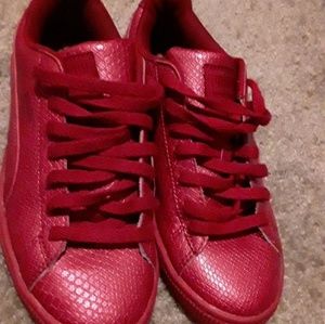 Red reptile pumas